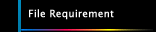 File Requirement